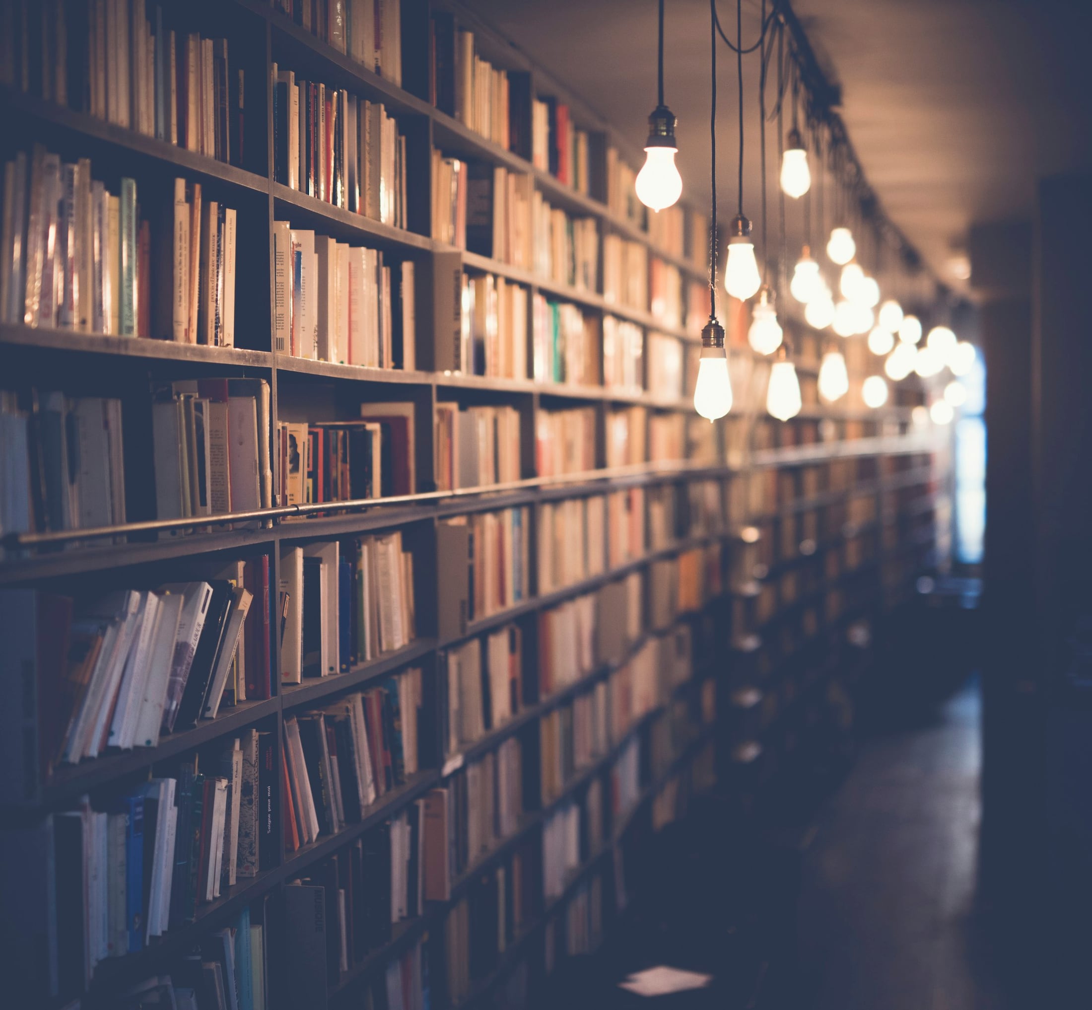 Grand library stacks in warm editorial light